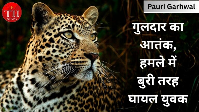 Leopard Attack In Pauri