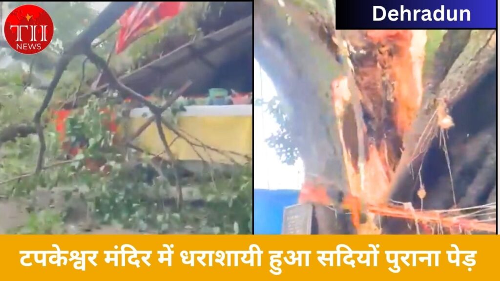Tapkeshwar Temple Old Tree Collapse 1 Injured
